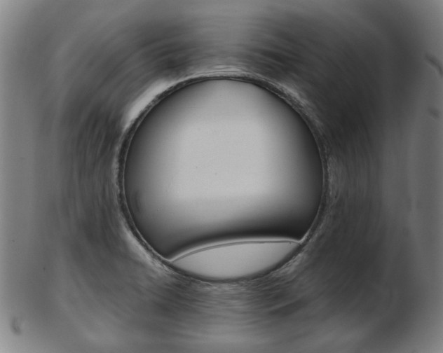 X0000103481422200809120918