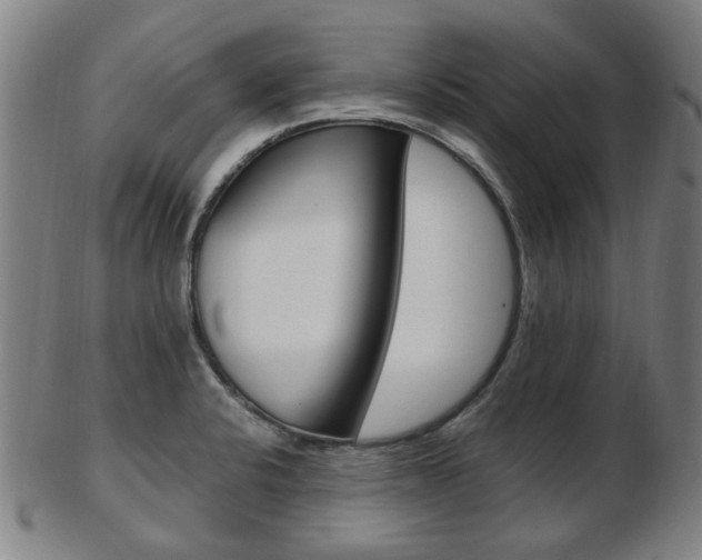 X0000103481424200809120918