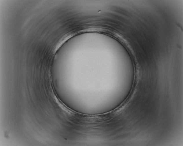 X0000103481425200809120918