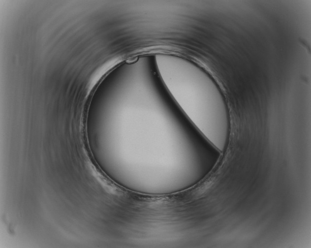 X0000103481426200809120918