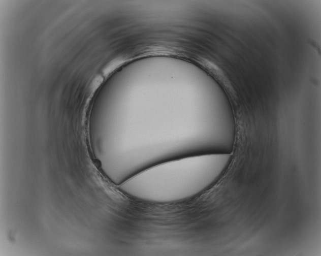 X0000103481427200809120918