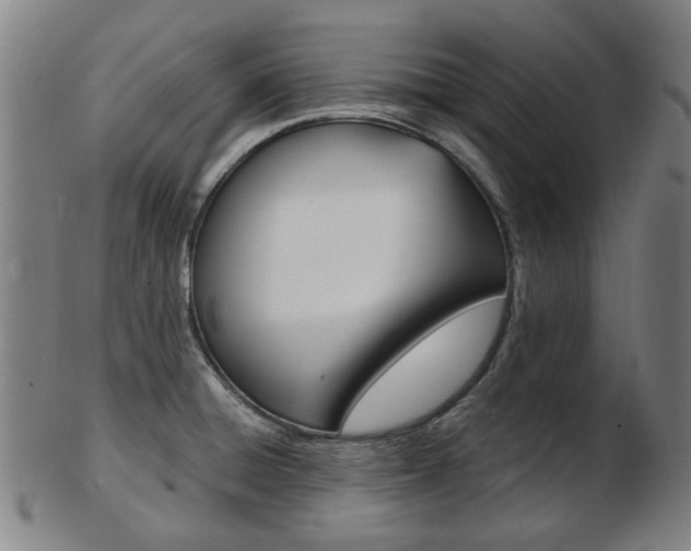 X0000103481428200809120918