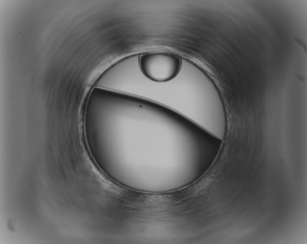 X0000103481430200809120918
