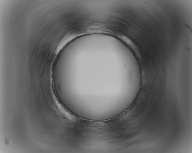 X0000103481431200809120918