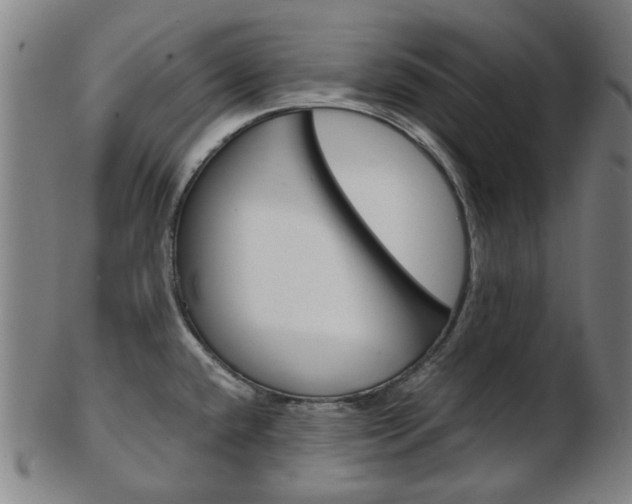X0000103481432200809120918