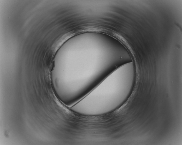 X0000103481433200809120918
