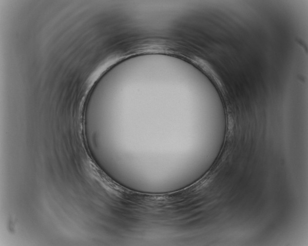 X0000103481435200809120918