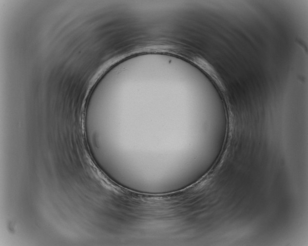 X0000103481436200809120918