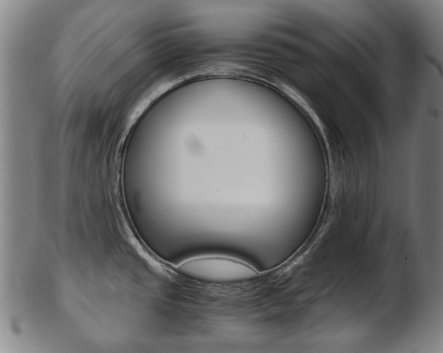 X0000103481437200809120918