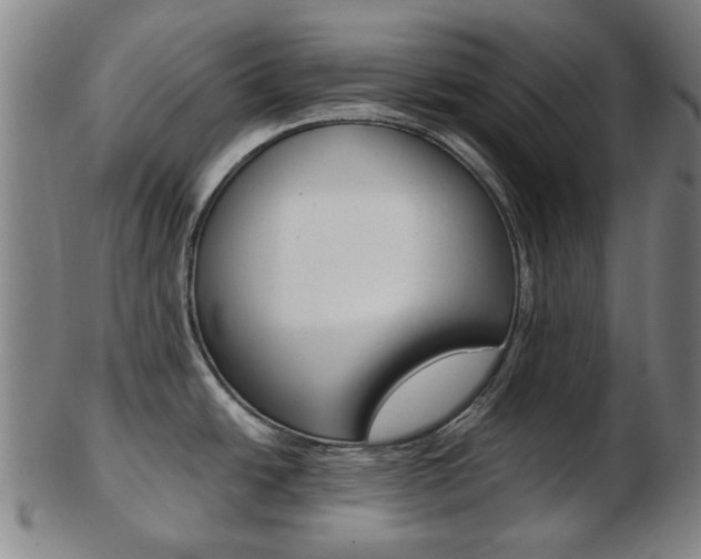 X0000103481438200809120918