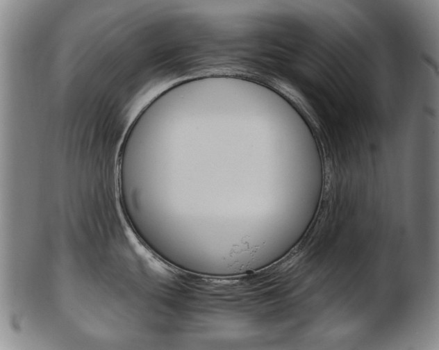X0000103481439200809120918
