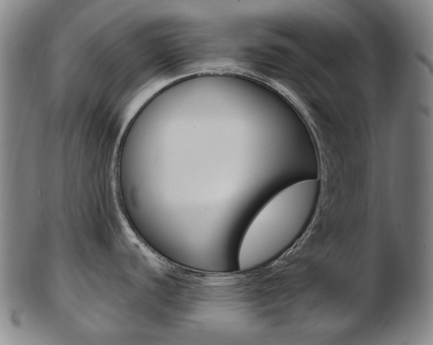 X0000103481440200809120918