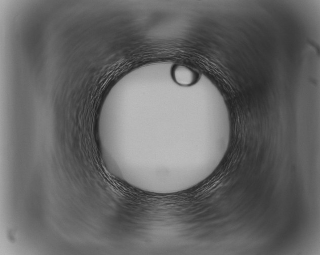 X0000103481441200809120917