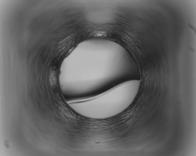 X0000103481442200809120917