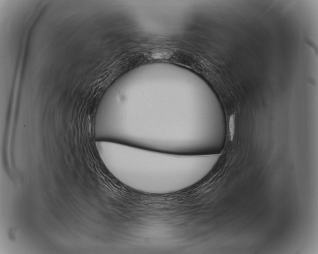 X0000103481443200809120917