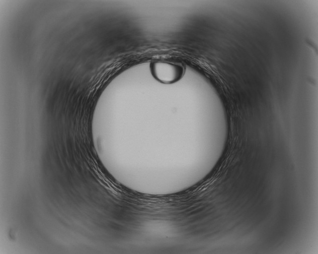 X0000103481444200809120917