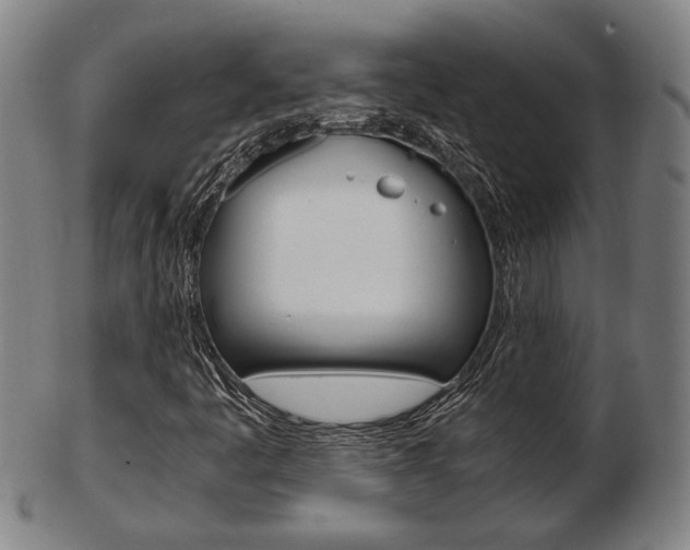 X0000103481445200809120917