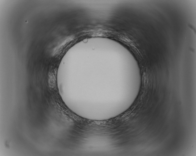 X0000103481446200809120917