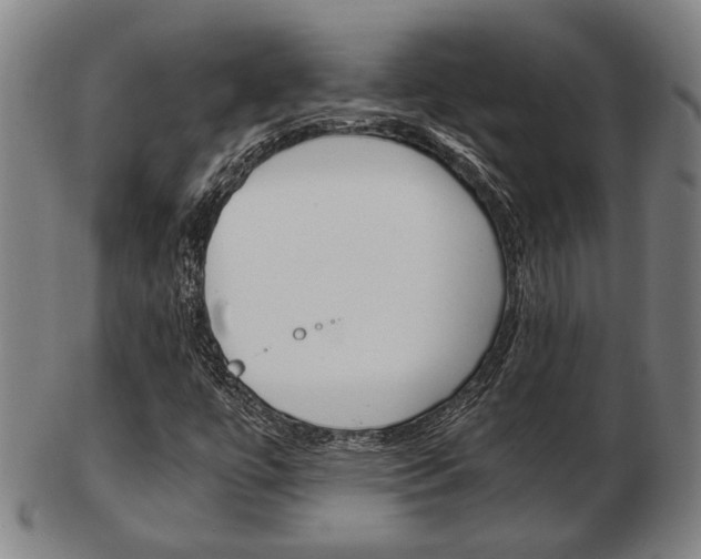 X0000103481447200809120917