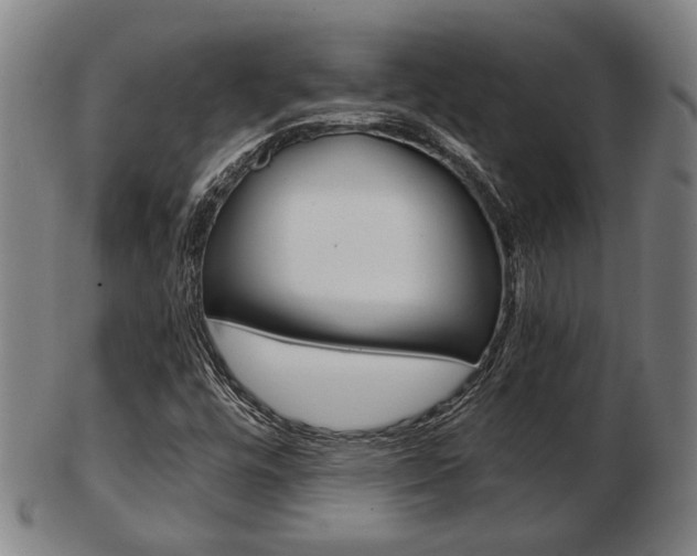 X0000103481448200809120917