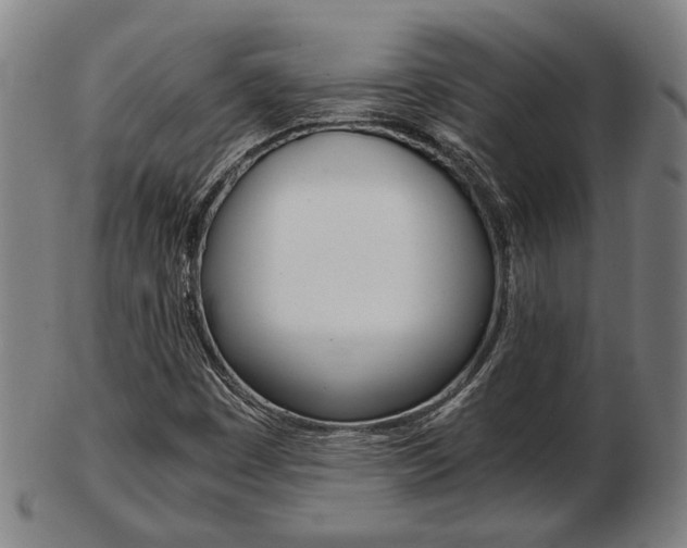 X0000103481449200809120917