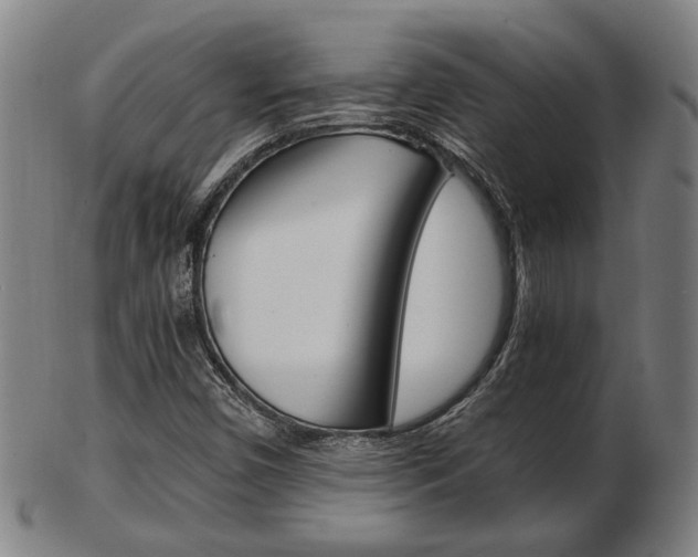 X0000103481450200809120917