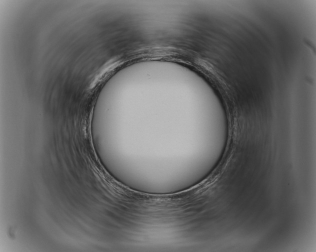 X0000103481451200809120917