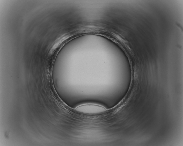 X0000103481453200809120917