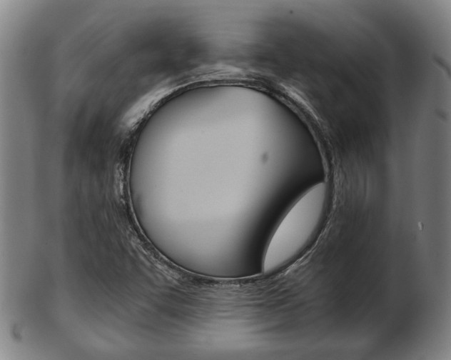 X0000103481455200809120917