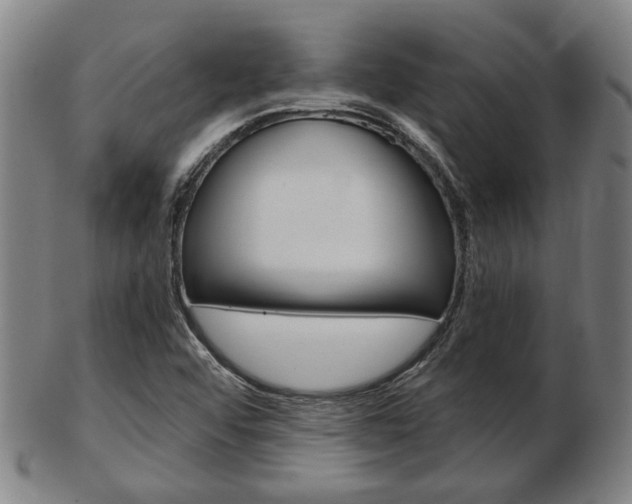 X0000103481456200809120917