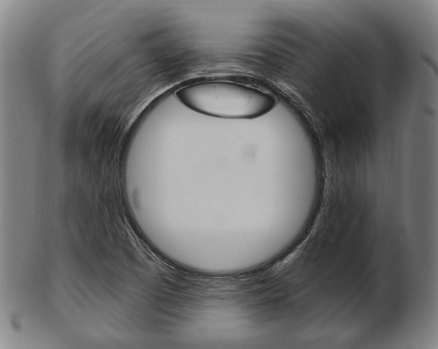 X0000103481457200809120917