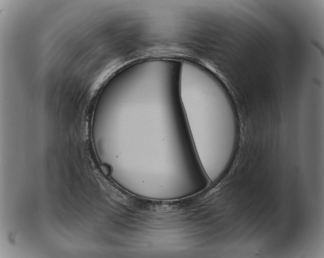 X0000103481459200809120917