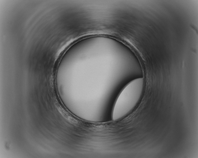 X0000103481460200809120917