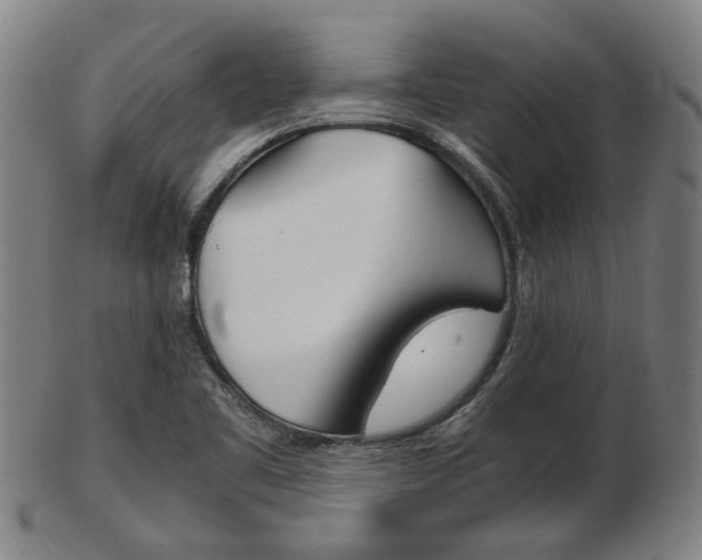 X0000103481461200809120917