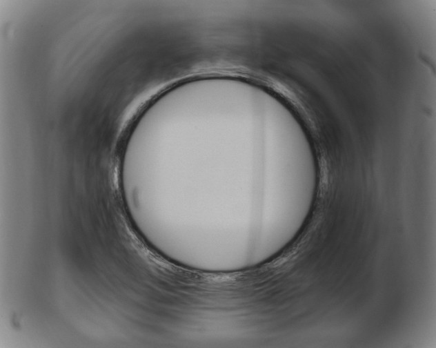X0000103481462200809120917
