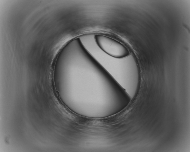 X0000103481463200809120917