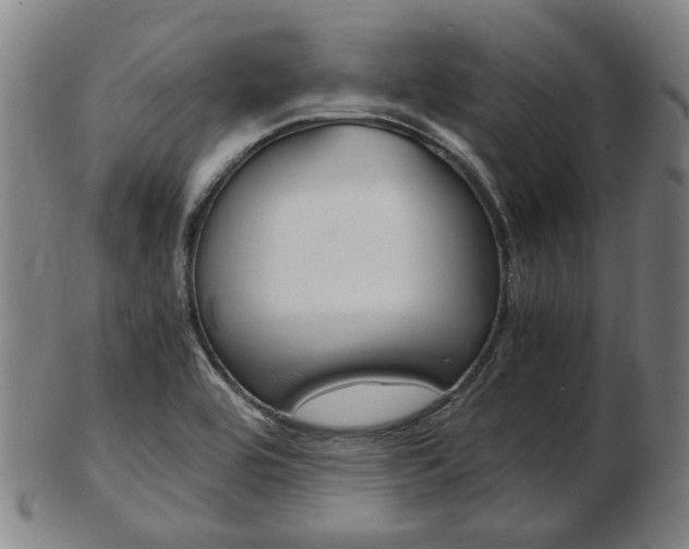 X0000103481464200809120917