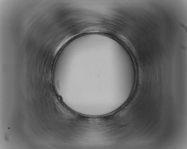X0000103481465200809120917