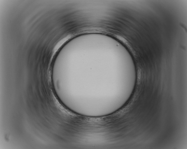 X0000103481466200809120917