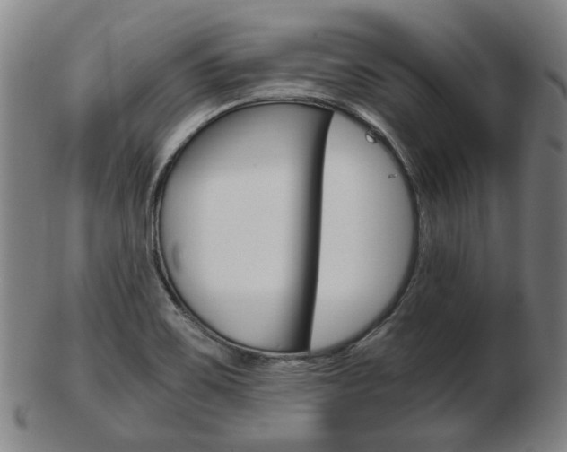 X0000103481467200809120917