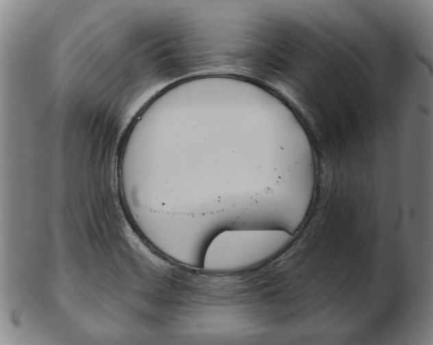 X0000103481468200809120917