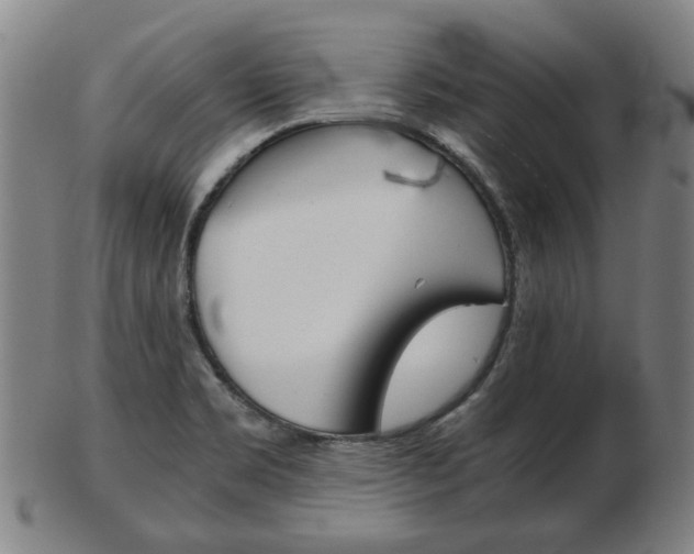 X0000103481469200809120917