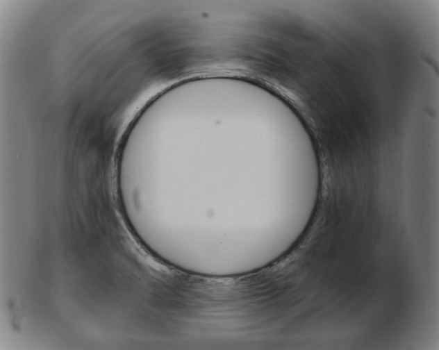 X0000103481470200809120917