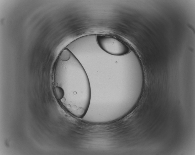 X0000103481471200809120917