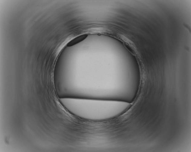 X0000103481473200809120917