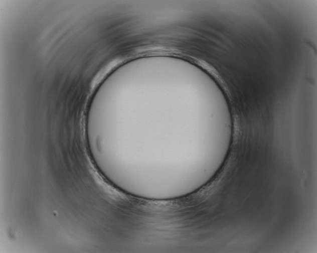X0000103481474200809120917