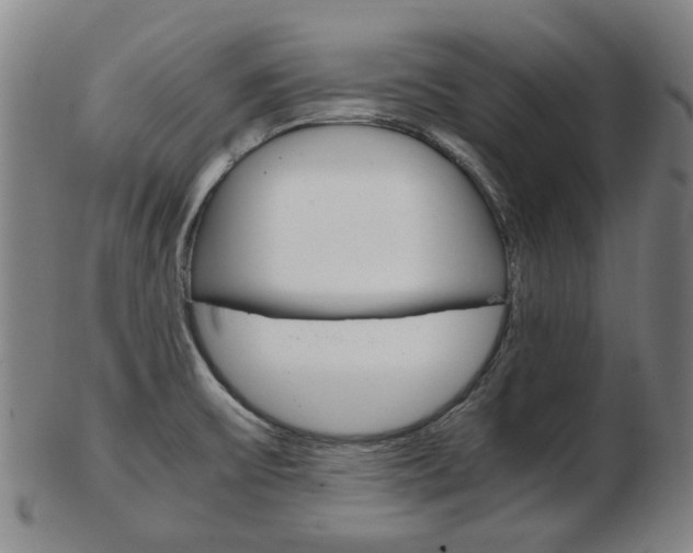 X0000103481475200809120917