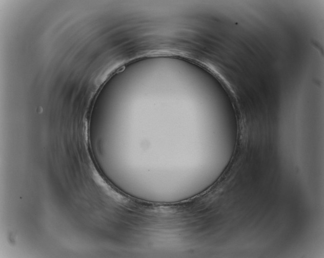 X0000103481476200809120917