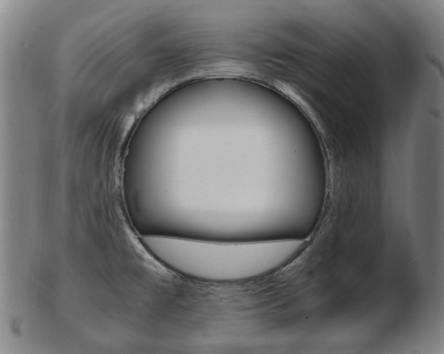 X0000103481477200809120917