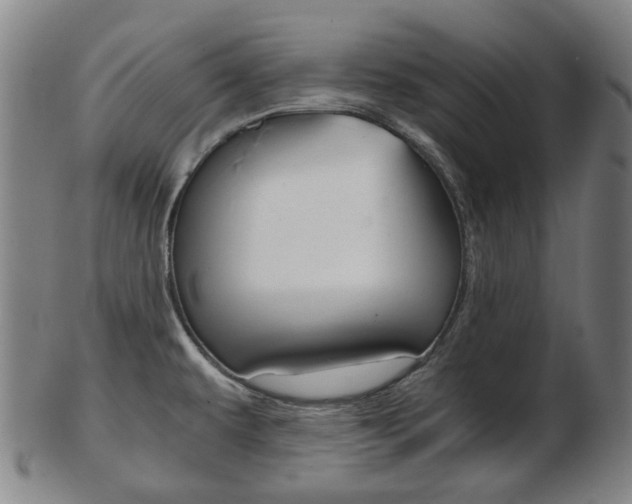 X0000103481479200809120916
